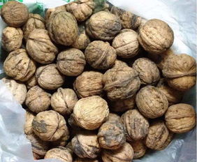 健康警報 這些堅果與干果，請謹(jǐn)慎食用